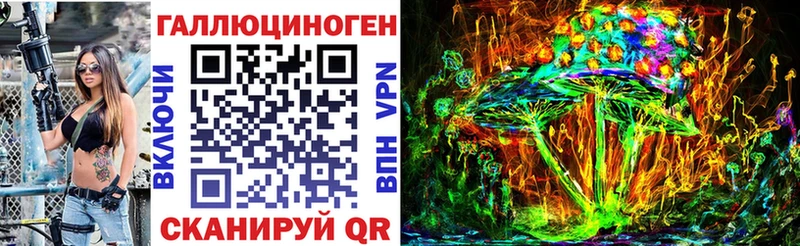 Галлюциногенные грибы Psilocybine cubensis  гидра зеркало  Хасавюрт  закладка 